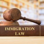 Immigration2 Immigration2