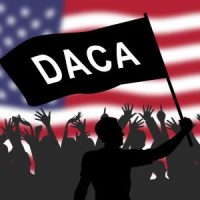 DACA DACA